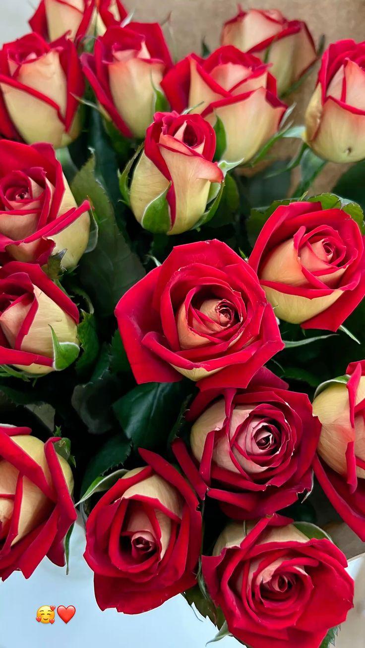 Corporate meeting room with carefully timed floral arrangements that maintain elegance throughout business hours